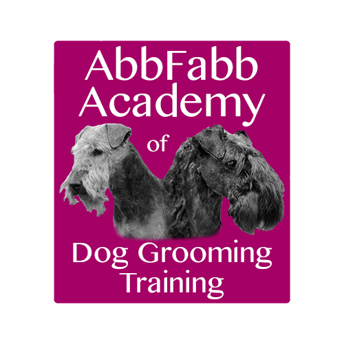 Abbfabb Academy Of Dog Grooming Training